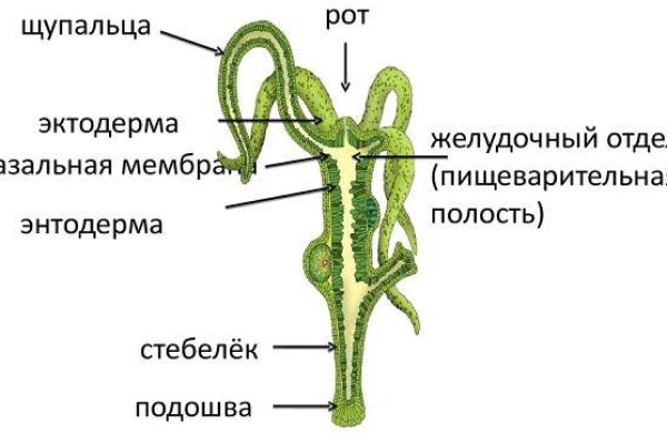 Ссылка на кракен 15ат