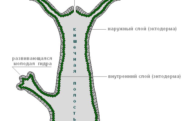 Кракен 17 точка ат