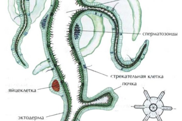 Кракен сайт официальный kraken014 com