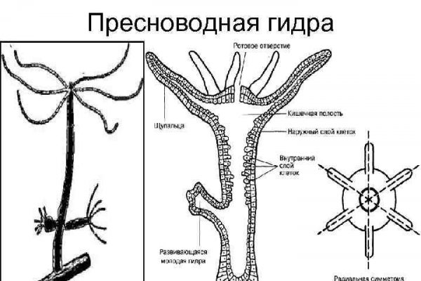 Кракен купить порошок krk market com