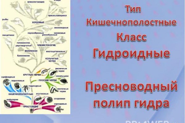 Кракен ссылка тор kr2web in